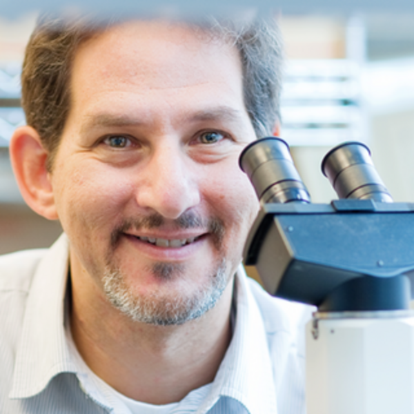 Stuart Berger Immunology